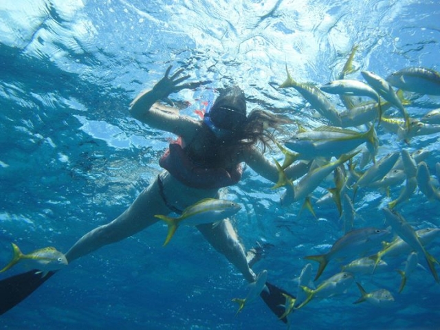 explora bajo el agua